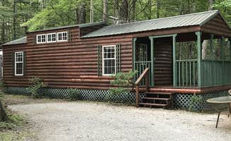 The Dyrt's photo of a cabin at Spacious Skies Bear Den near Lincolnton, NC