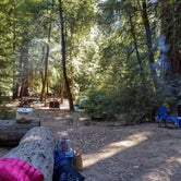 Review photo of Big Basin Redwoods State Park — Big Basin Redwoods State Park - CAMPGROUND CLOSED by Darrin L., August 10, 2016