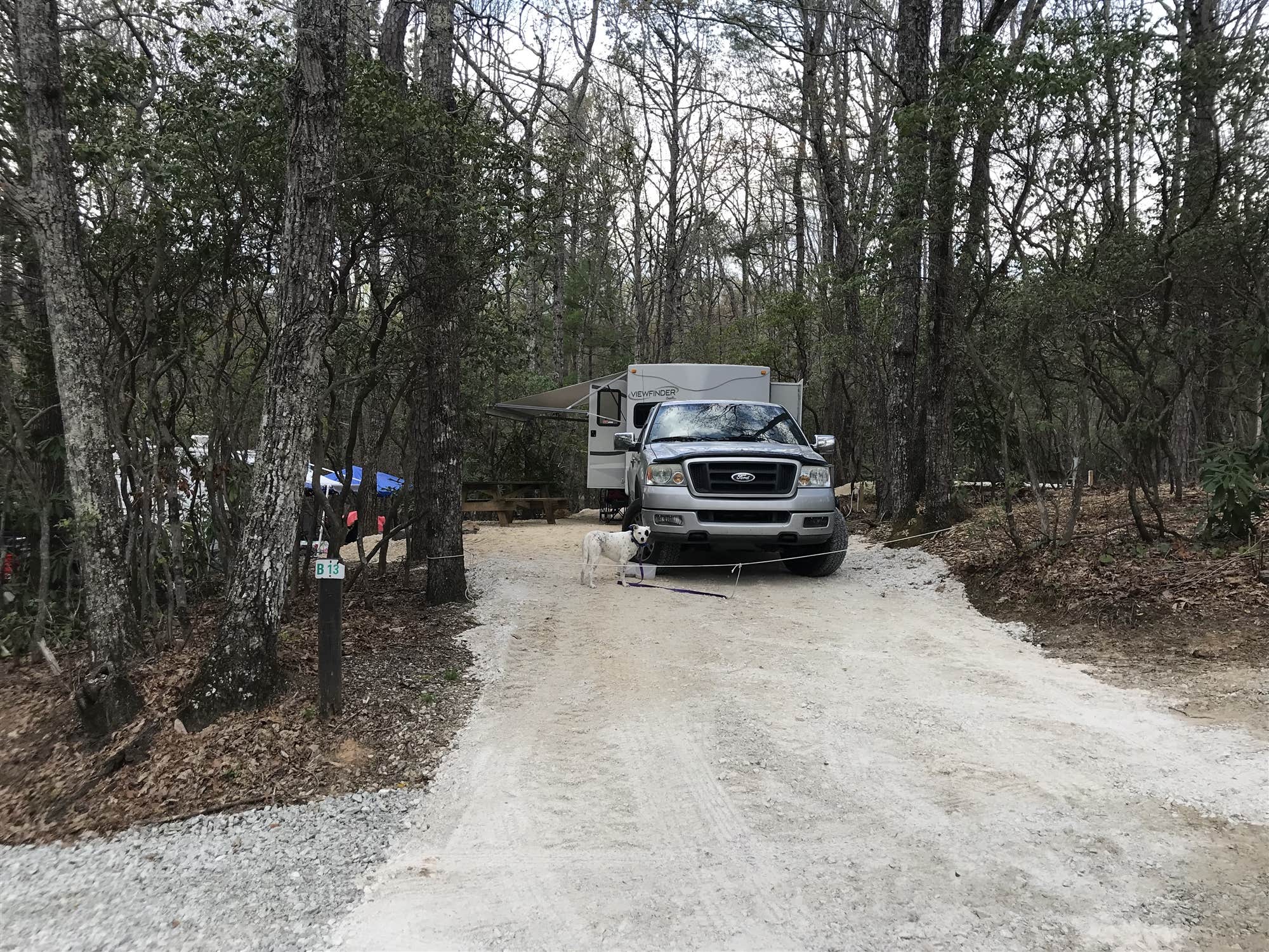 The Dyrt's photo of camping with pets at Spacious Skies Bear Den near Hickory, NC