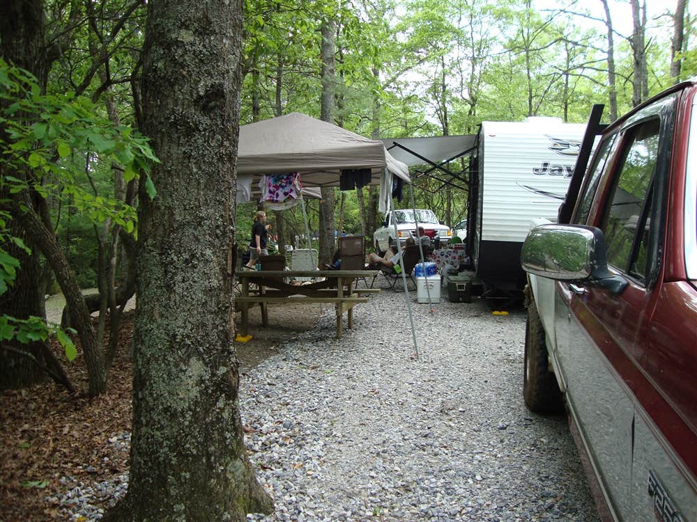 The Dyrt's photo at Spacious Skies Bear Den near Spruce Pine, NC