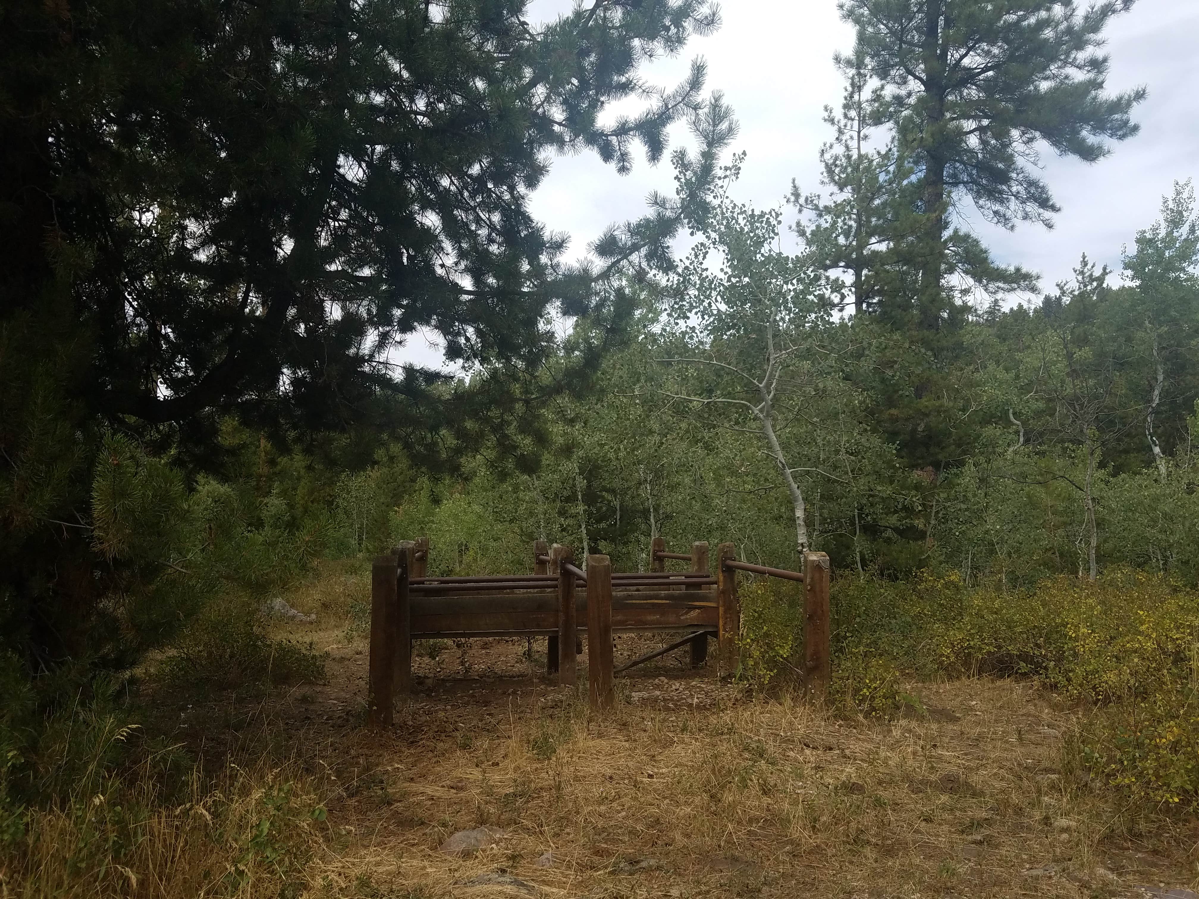 Camper-submitted photo at Horsemen Camps Dispersed Camping near Kamas, UT
