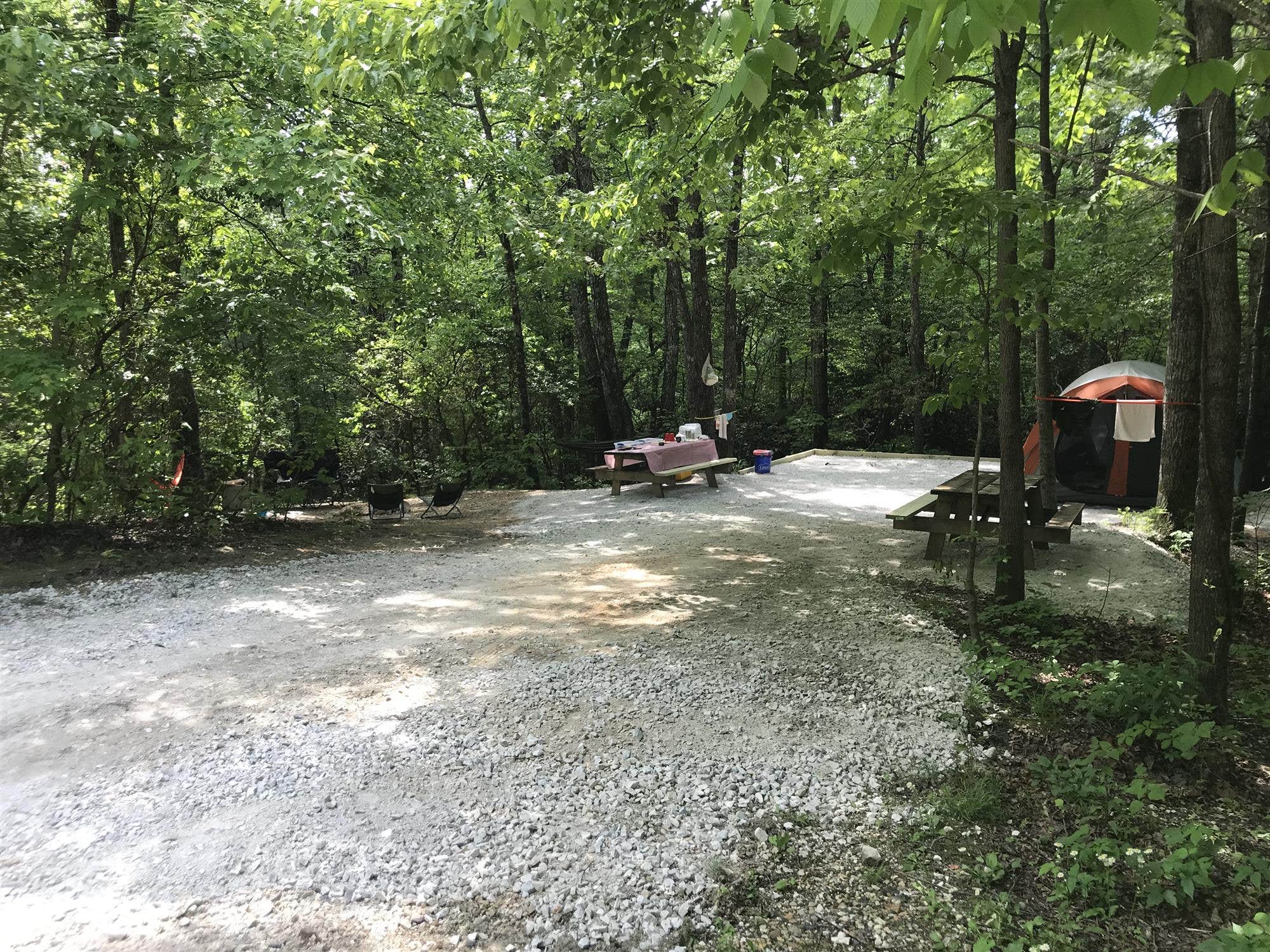 The Dyrt's photo at Spacious Skies Bear Den near Spruce Pine, NC