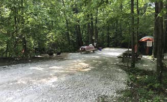 The Dyrt's photo at Spacious Skies Bear Den near Linville, NC