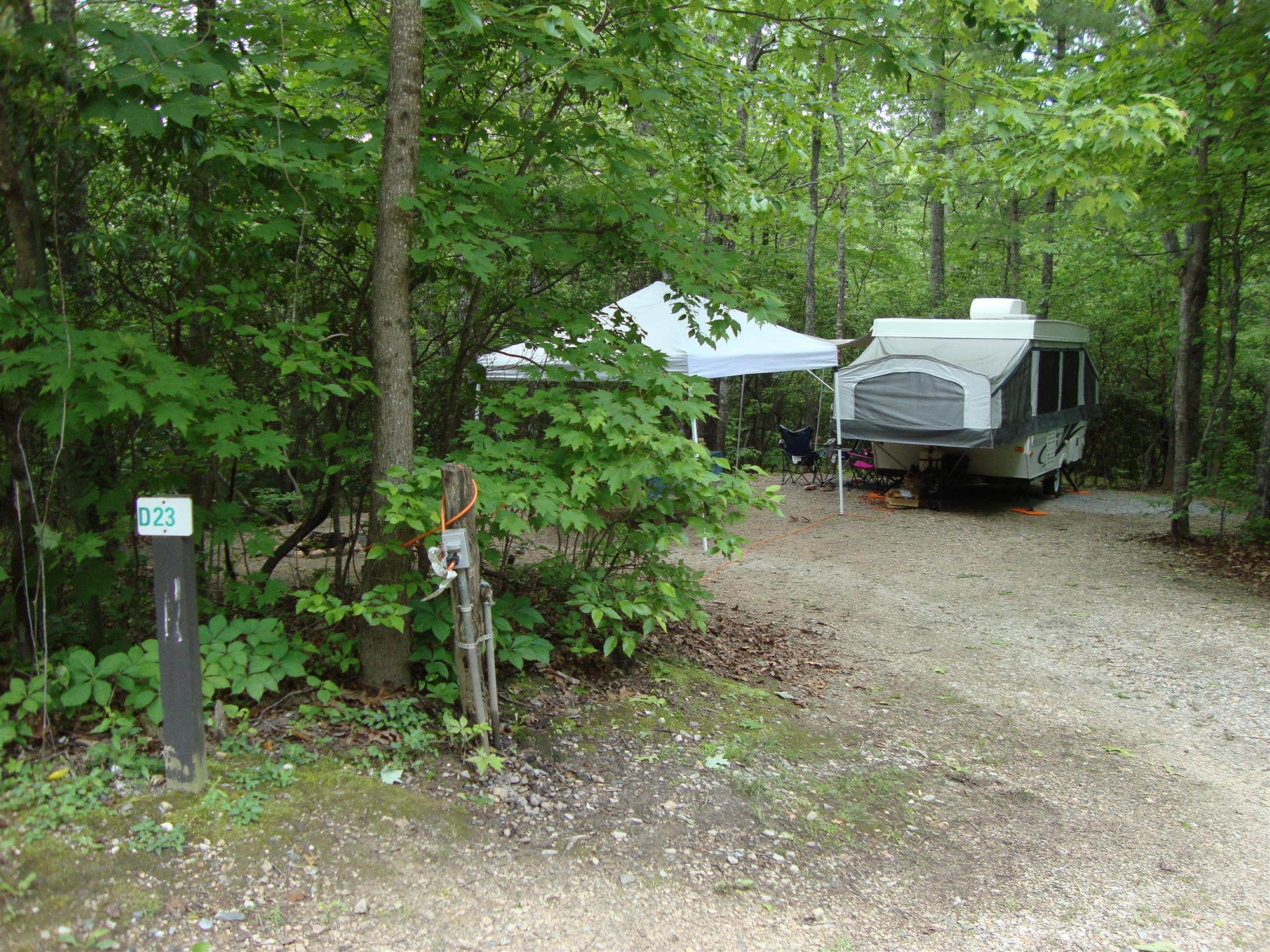 The Dyrt's photo at Spacious Skies Bear Den near Spruce Pine, NC
