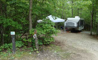 The Dyrt's photo at Spacious Skies Bear Den near Spruce Pine, NC
