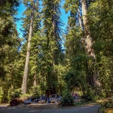 Review photo of Big Basin Redwoods State Park — Big Basin Redwoods State Park - CAMPGROUND CLOSED by Darrin L., August 10, 2016