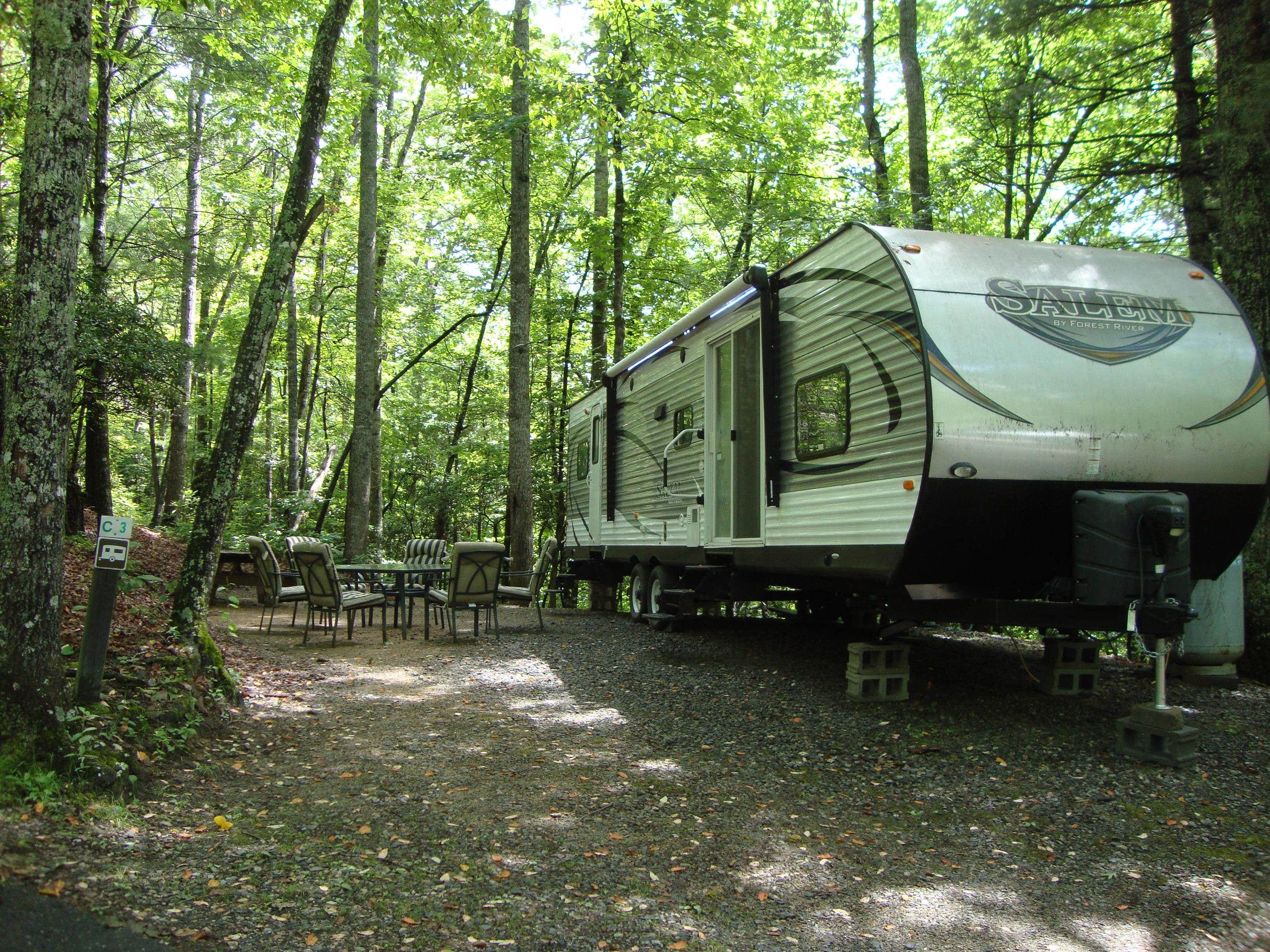 The Dyrt's photo at Spacious Skies Bear Den near Little Switzerland, NC