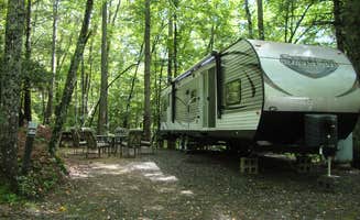 The Dyrt's photo at Spacious Skies Bear Den near Spruce Pine, NC