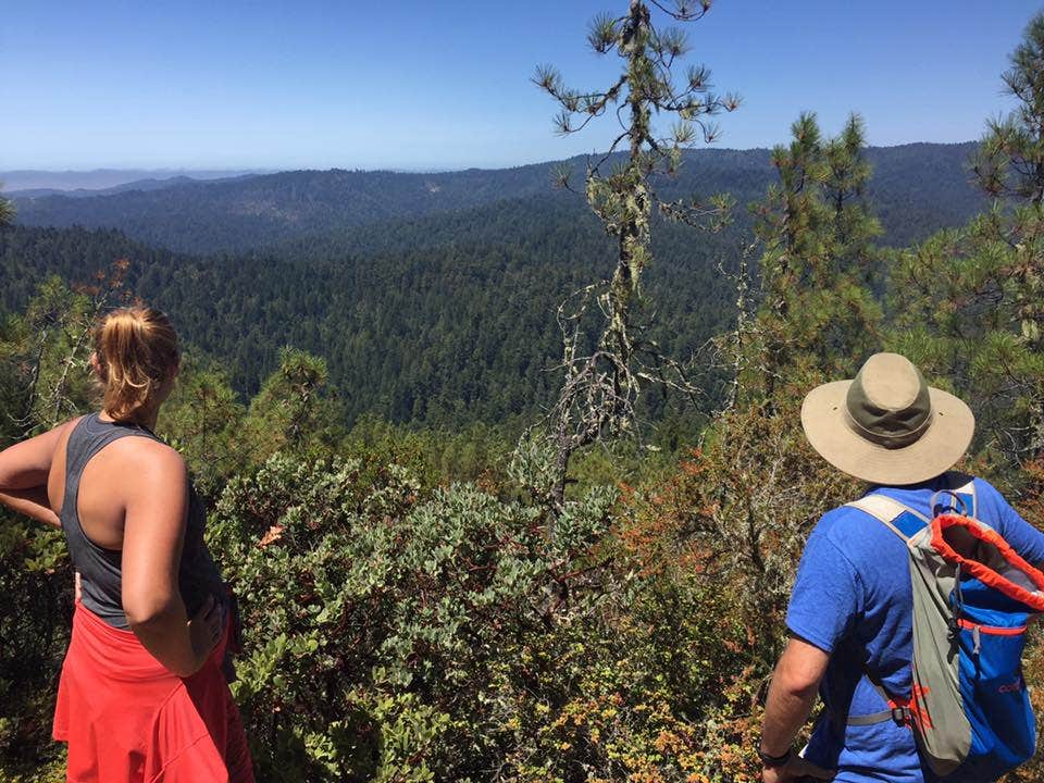 Camper submitted image from Lower Blooms Creek — Big Basin Redwoods State Park — CAMPGROUND CLOSED - 3