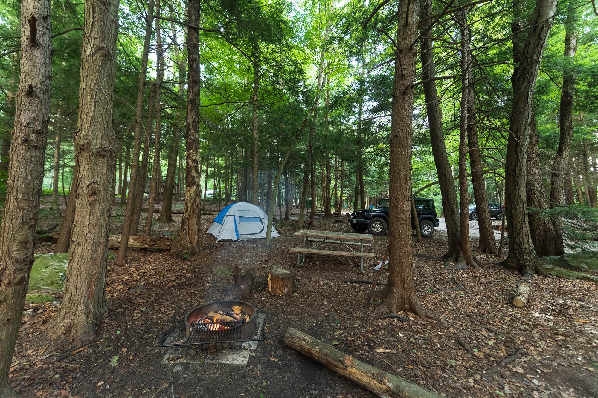 Camper-submitted photo at Mt. Greylock Campsite Park near West Stockbridge, MA