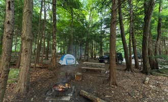 Camping near Aisling Mountain Farm : Mt. Greylock Campsite Park, Lanesborough, Massachusetts