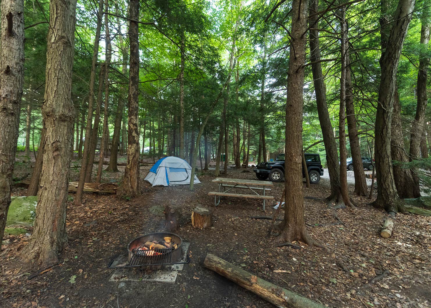 Mt. Greylock Campsite Park Camping The Dyrt