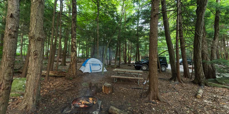 Camper submitted image from Mt. Greylock Campsite Park
