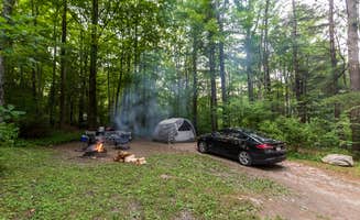 The Dyrt's photo at Mt. Greylock Campsite Park near Pittsfield, MA