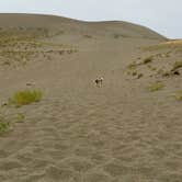 Review photo of Bruneau Dunes State Park Campground by Brett P., September 23, 2018