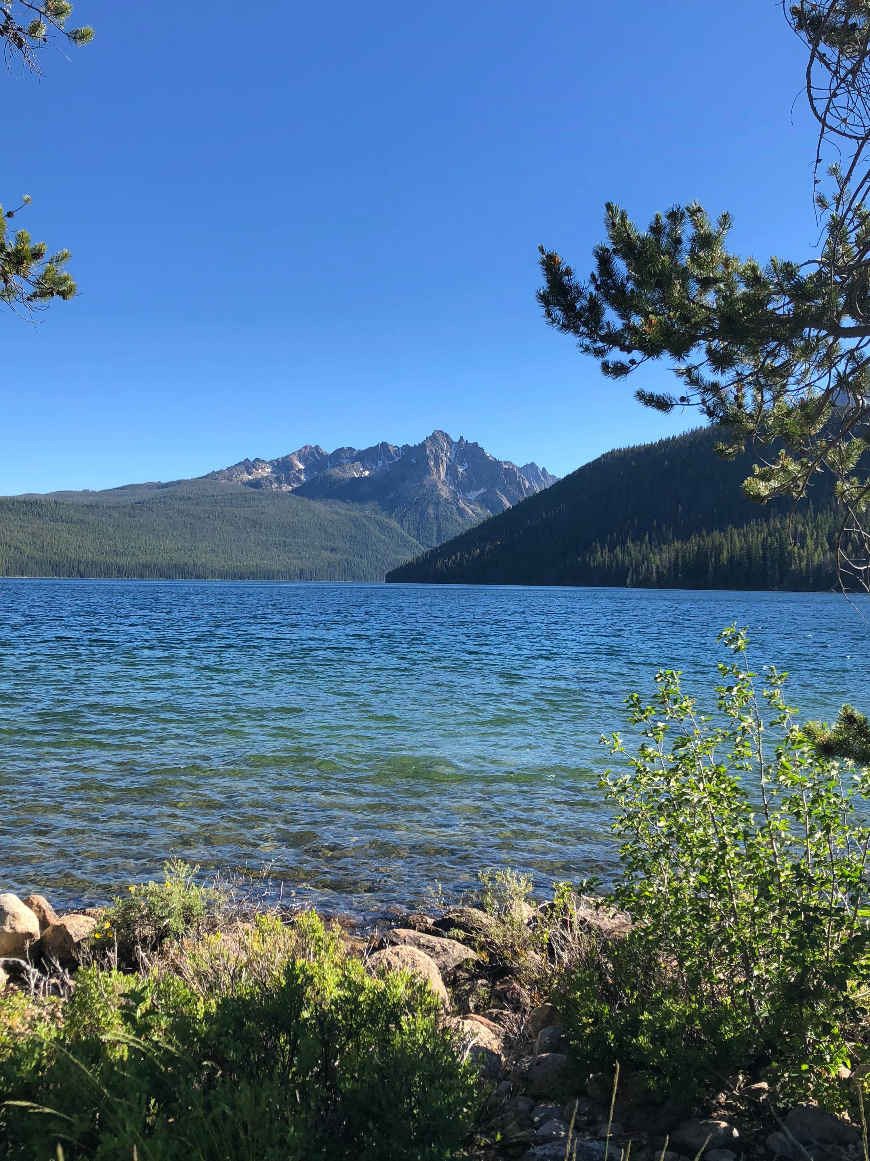 Camper submitted image from Outlet Campground at Redfish Lake - 5