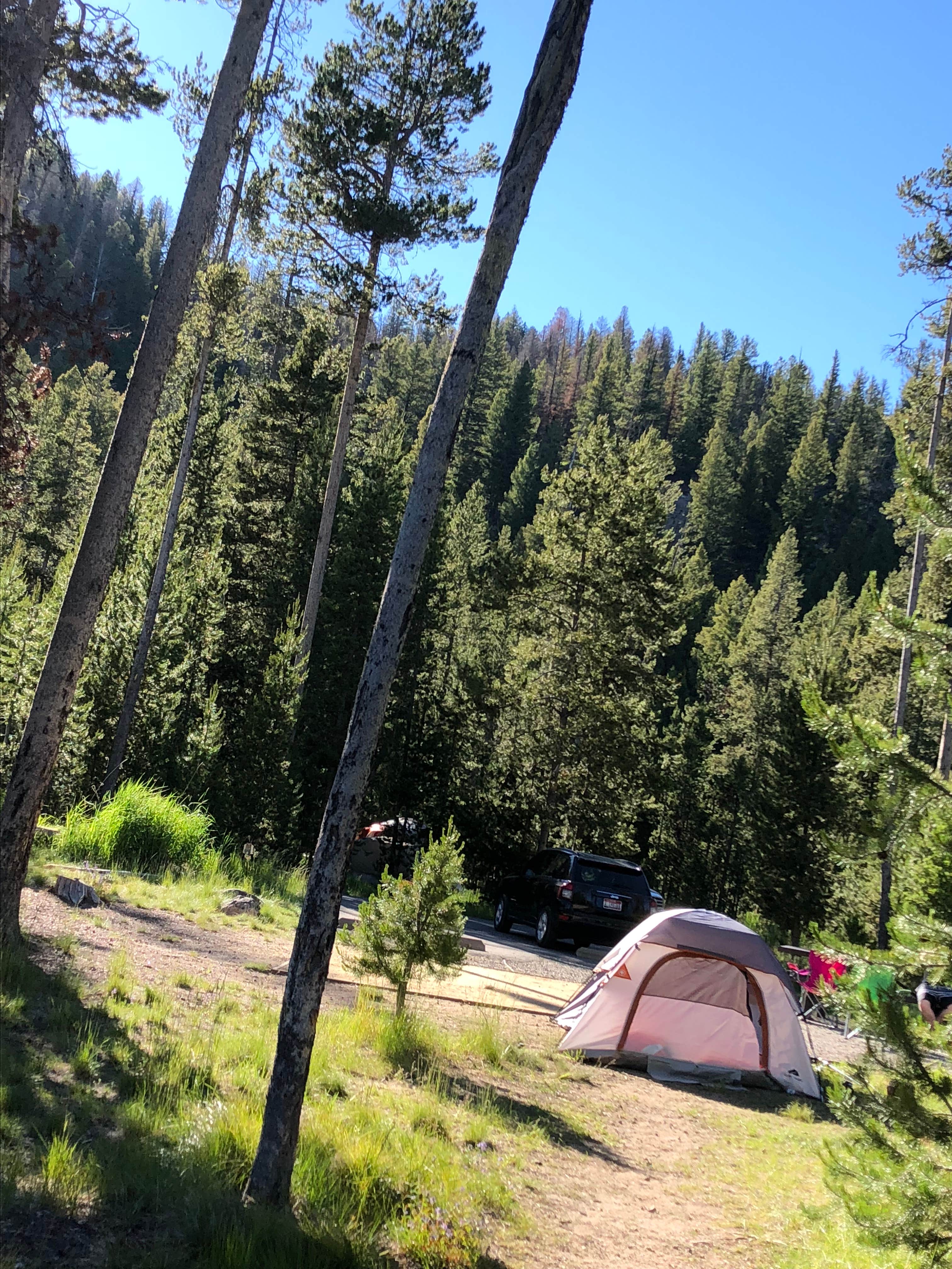 Extensamente salida dirigir Outlet Campground at Redfish Lake Camping | The Dyrt