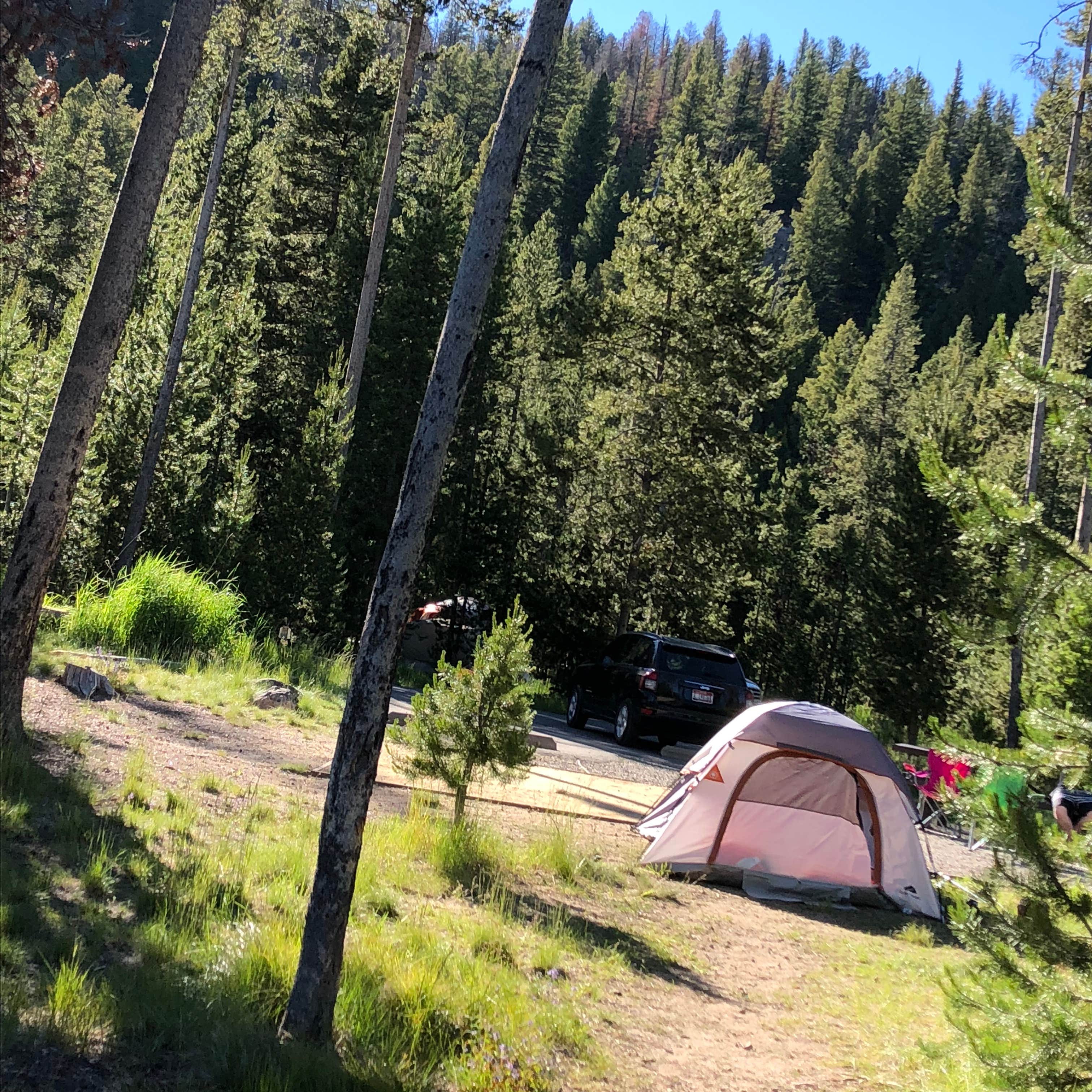 Extensamente salida dirigir Outlet Campground at Redfish Lake Camping | The Dyrt