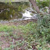 Review photo of Thomas Woods Campground by Tricia E., August 10, 2016