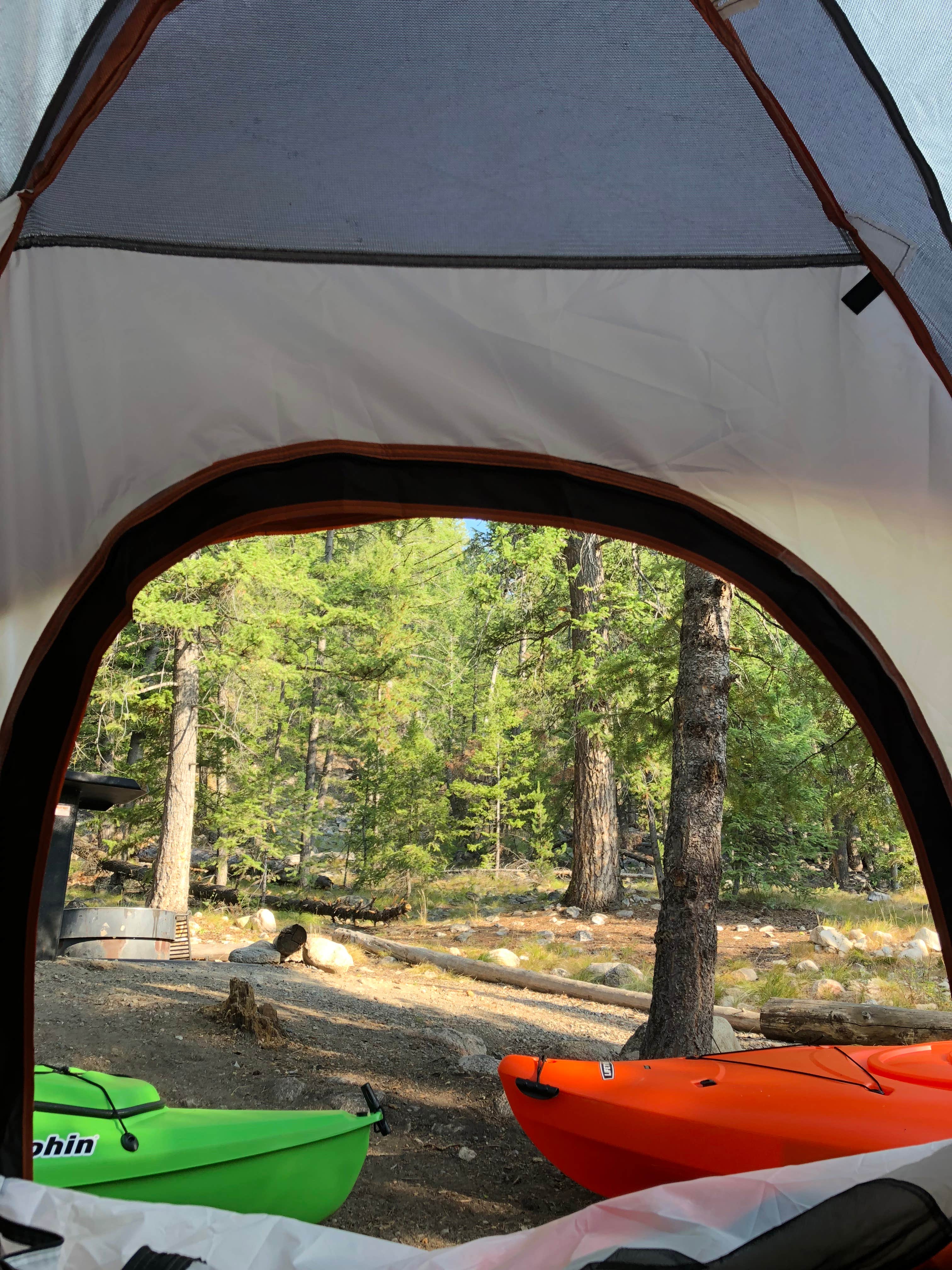 Camper submitted image from Outlet Campground at Redfish Lake - 2