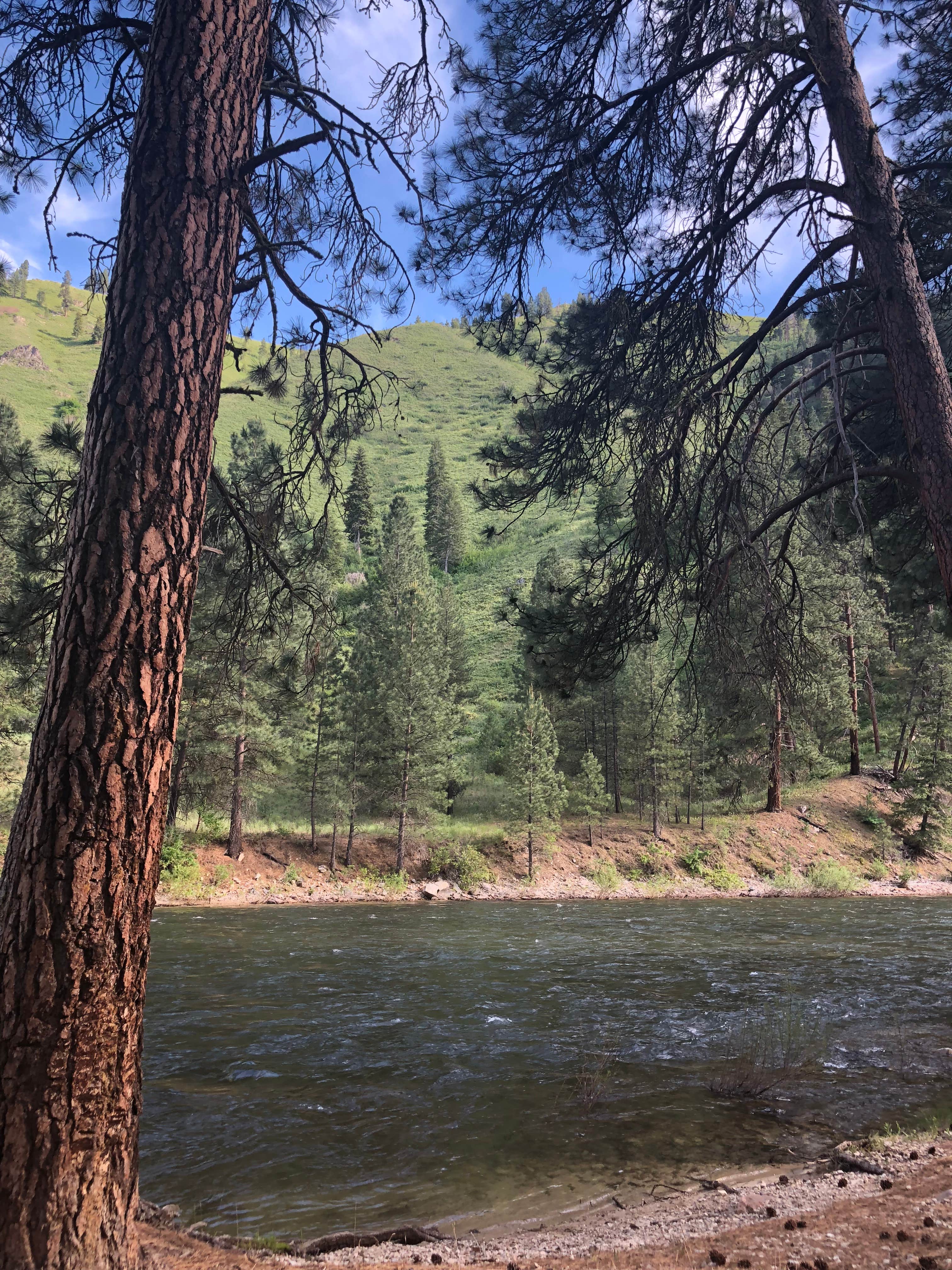 Camper-submitted photo at Willow Creek Campground near Meridian, ID