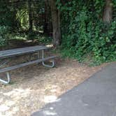 Review photo of Armitage Park & Campground - a Lane County Park by Bjorn S., July 14, 2015