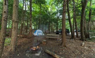 The Dyrt's photo at Mt. Greylock Campsite Park near Lee, MA