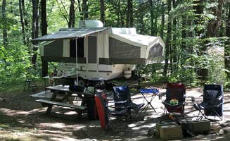 The Dyrt's photo at Mt. Greylock Campsite Park near Williamstown, MA