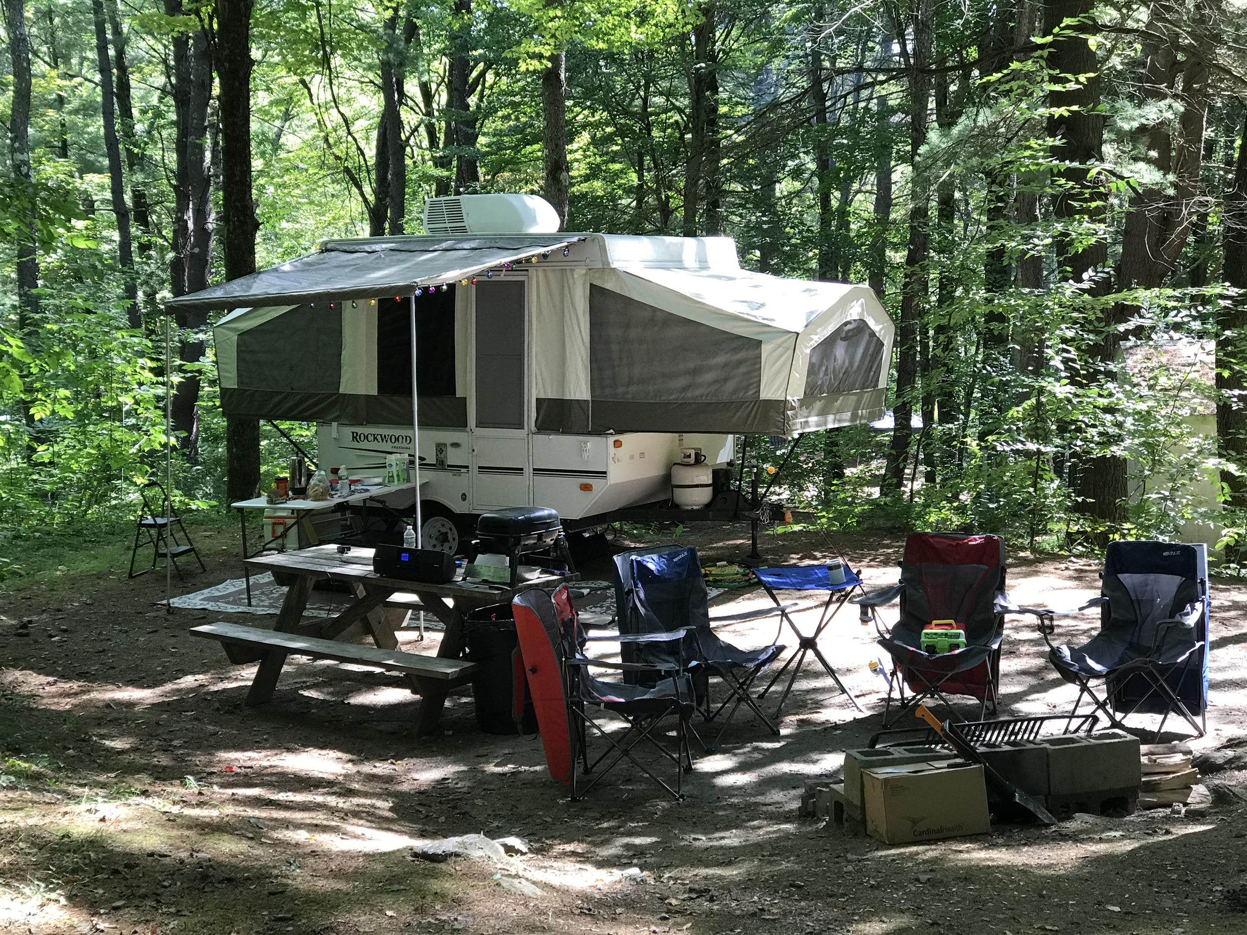 The Dyrt's photo at Mt. Greylock Campsite Park near New Ashford, MA