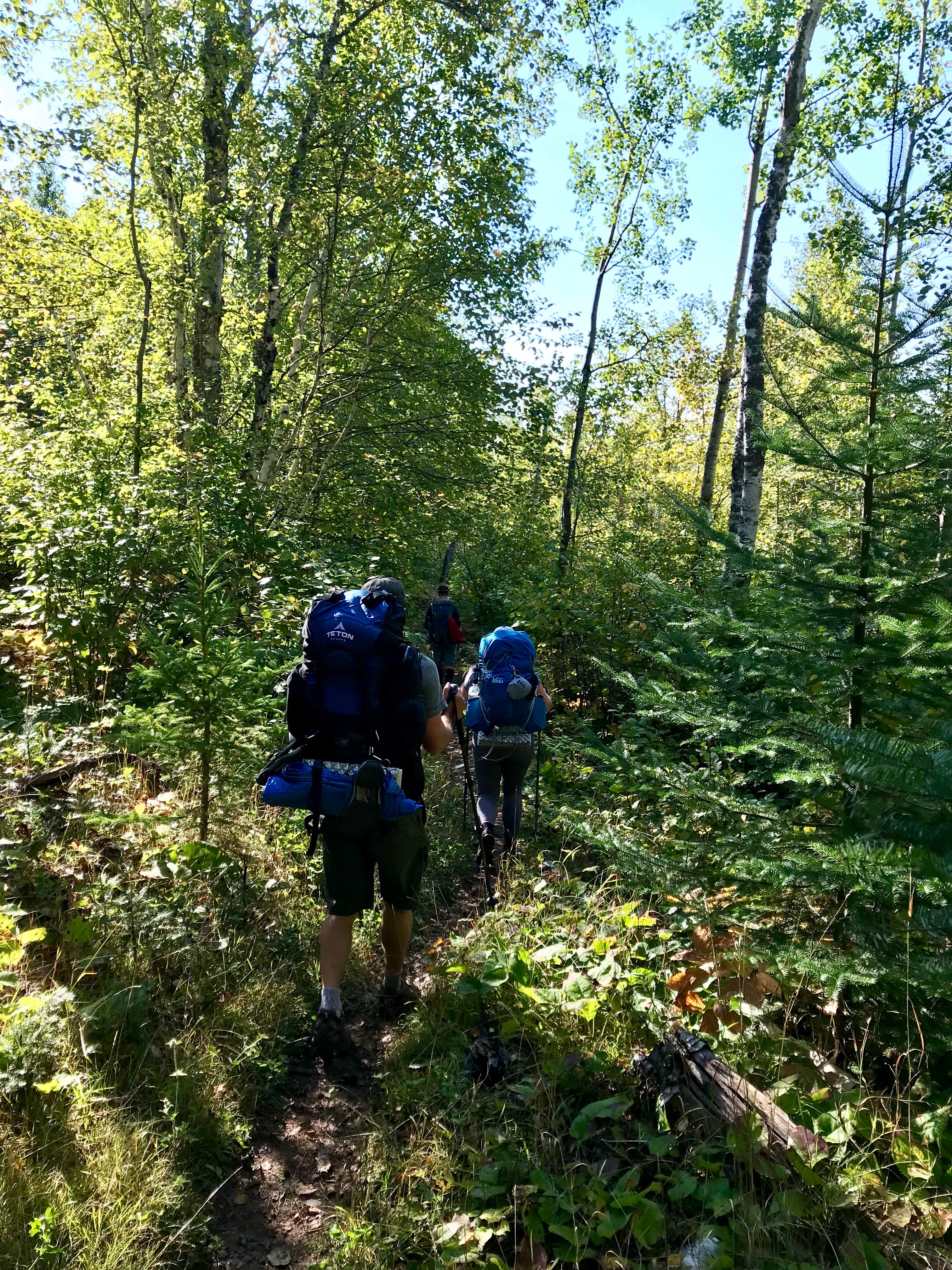 Camper submitted image from Durfee Creek, Superior Hiking Trail - 5