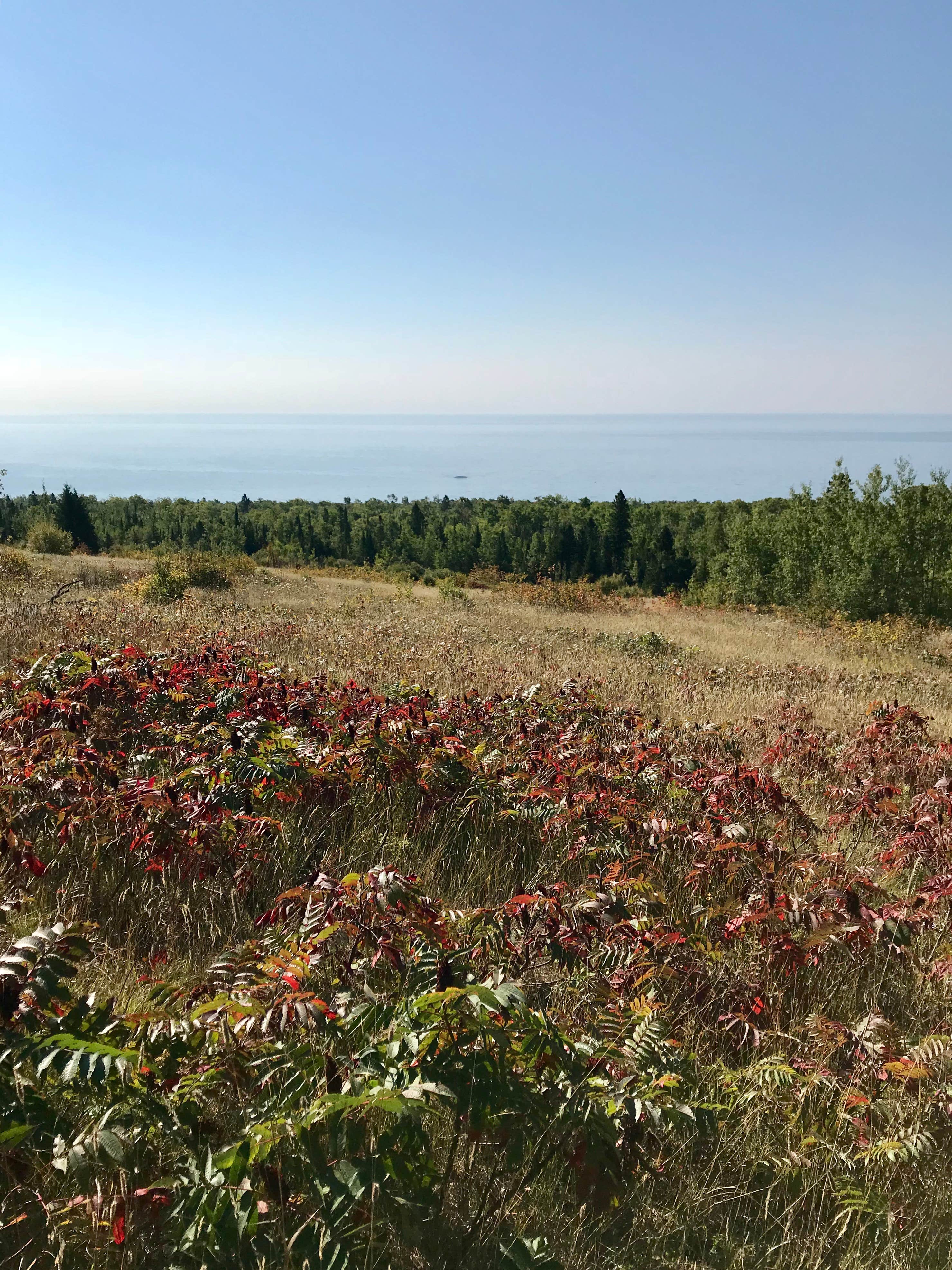 Camper-submitted photo at Durfee Creek, Superior Hiking Trail near Grand Marais, MN