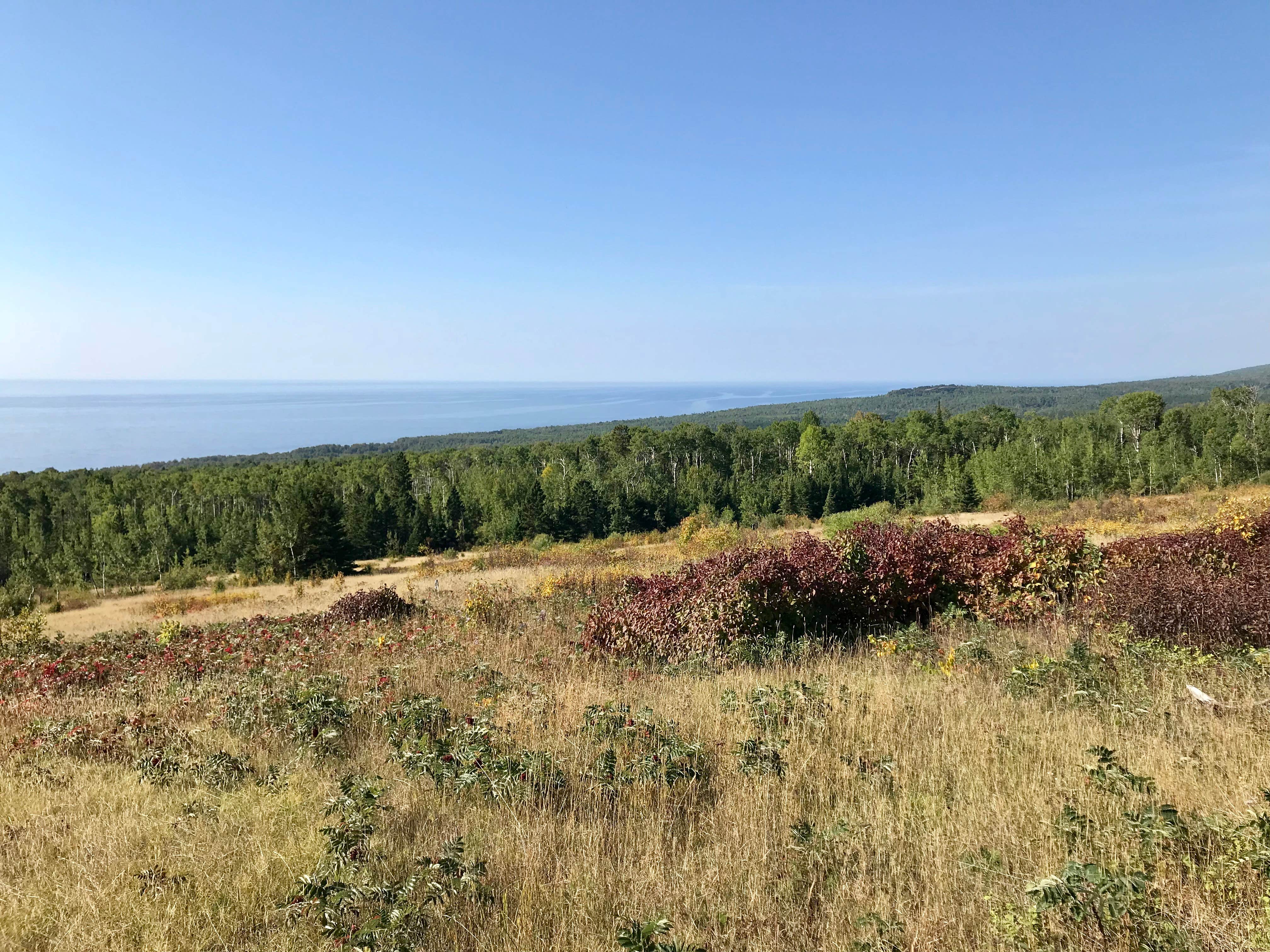 Camper-submitted photo at Durfee Creek, Superior Hiking Trail near Grand Marais, MN