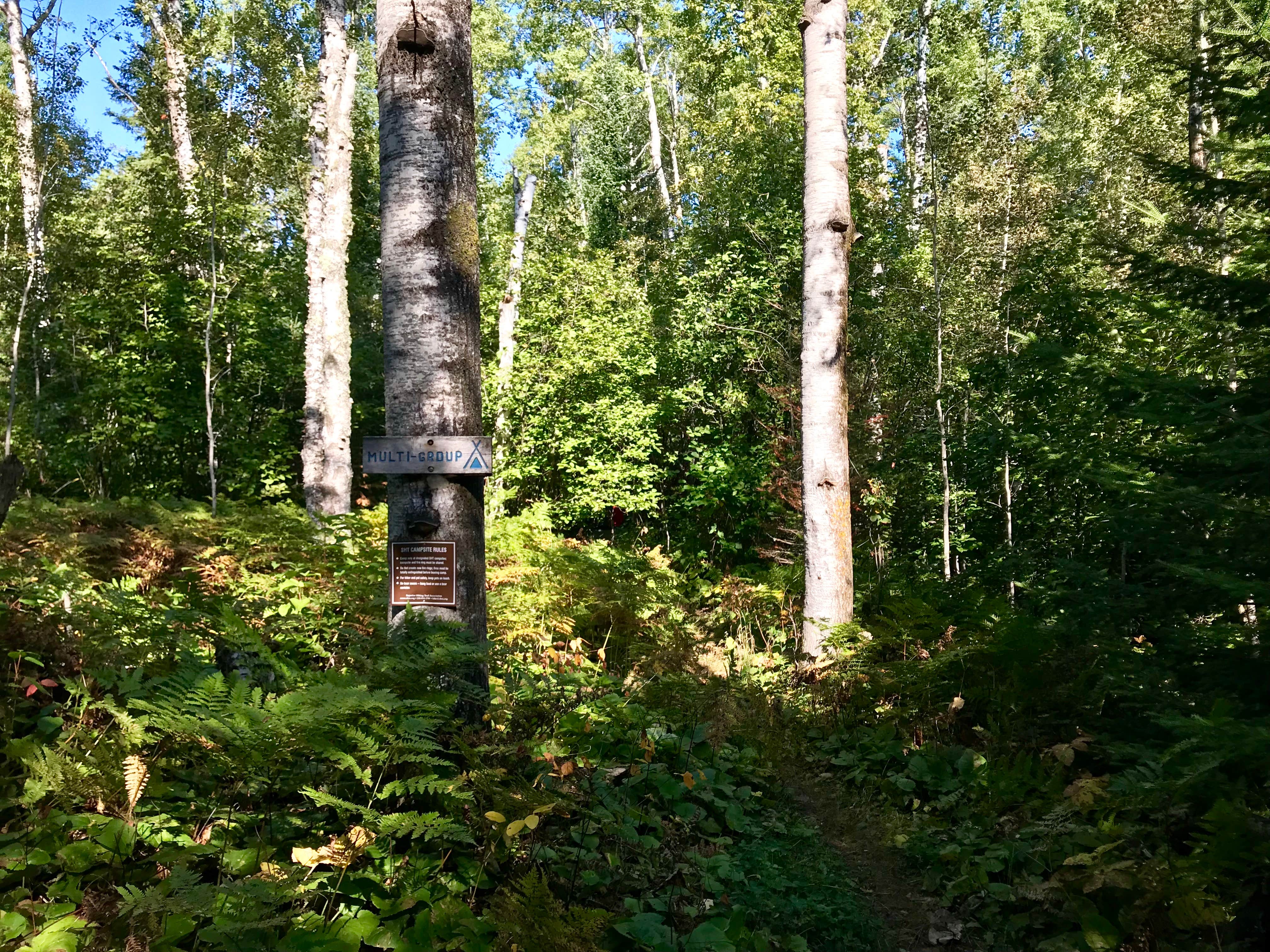 Camper-submitted photo at Durfee Creek, Superior Hiking Trail near Grand Marais, MN