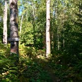 Review photo of Durfee Creek, Superior Hiking Trail by Steph H., September 23, 2018