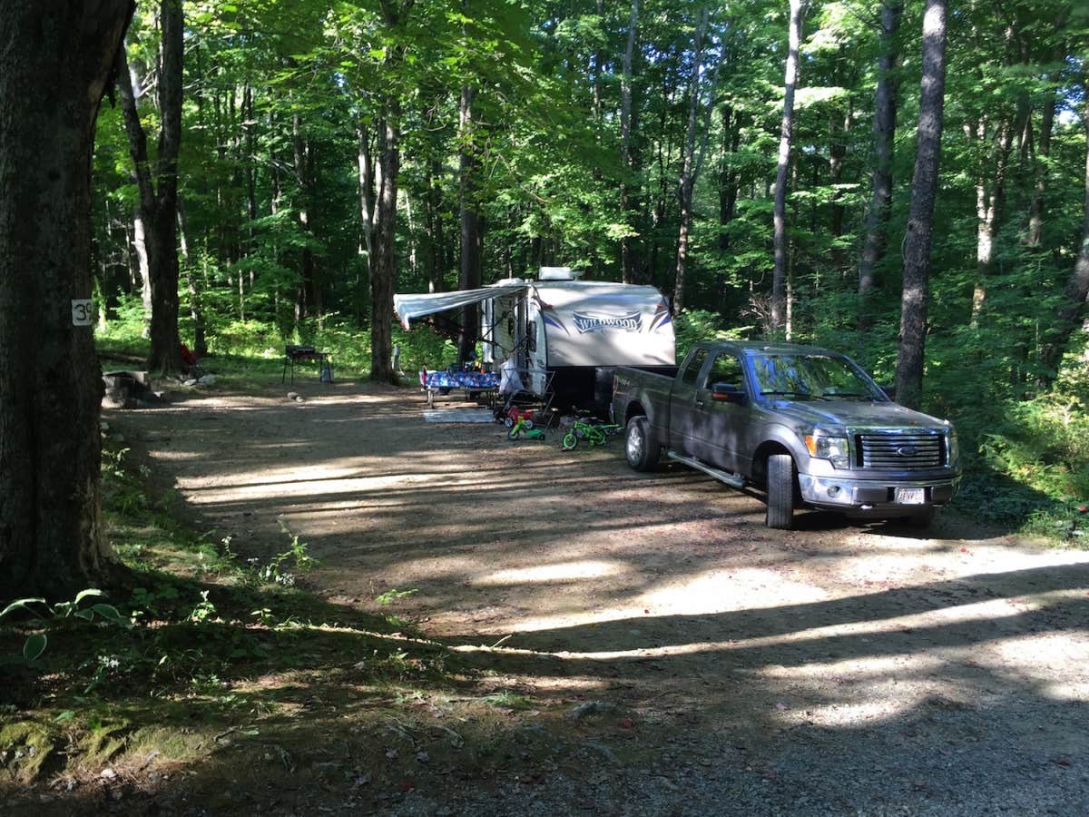 The Dyrt's photo at Mt. Greylock Campsite Park near Plainfield, MA