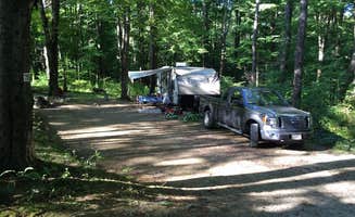 The Dyrt's photo at Mt. Greylock Campsite Park near Plainfield, MA