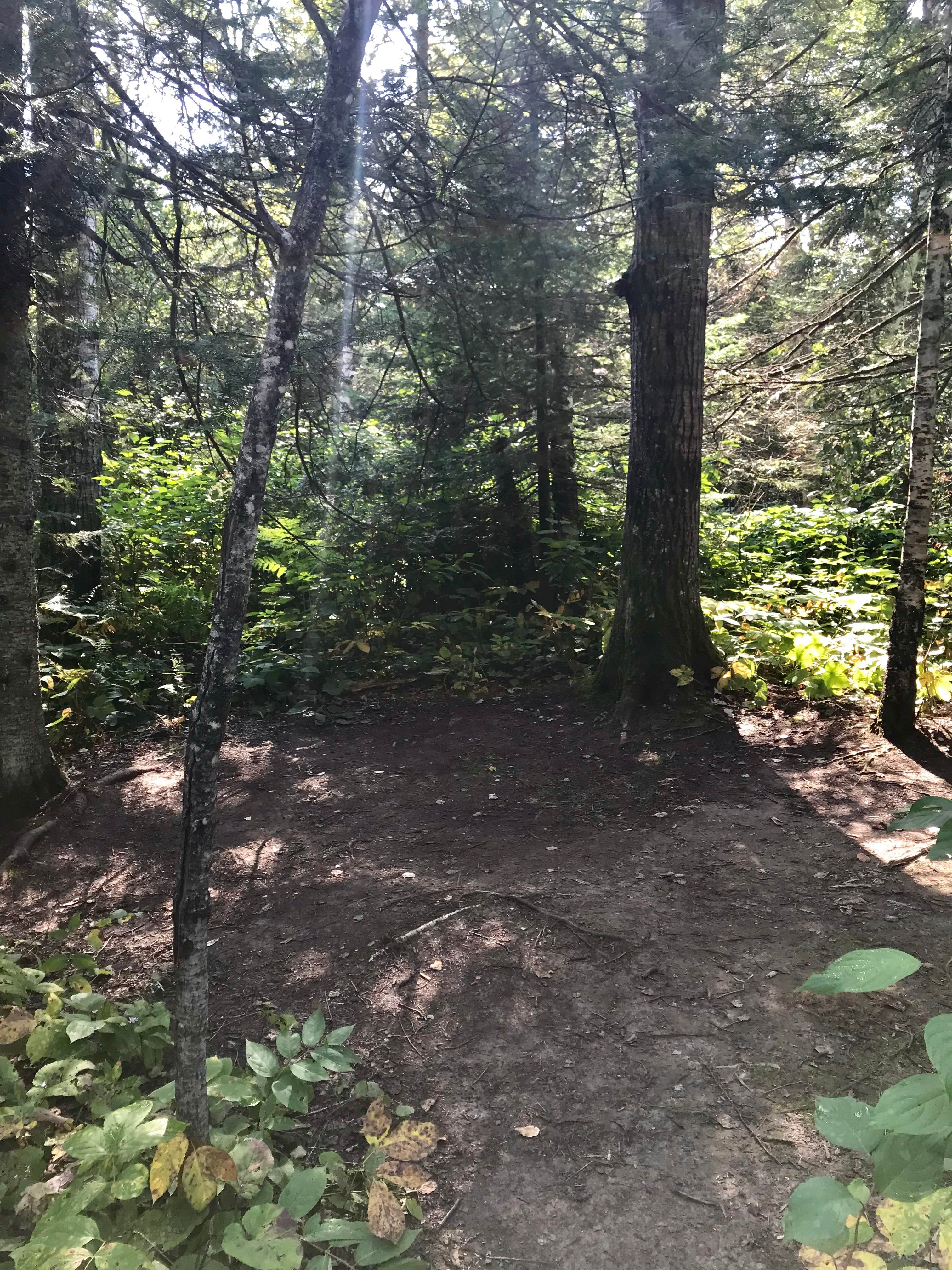 Camper-submitted photo at Durfee Creek, Superior Hiking Trail near Grand Marais, MN