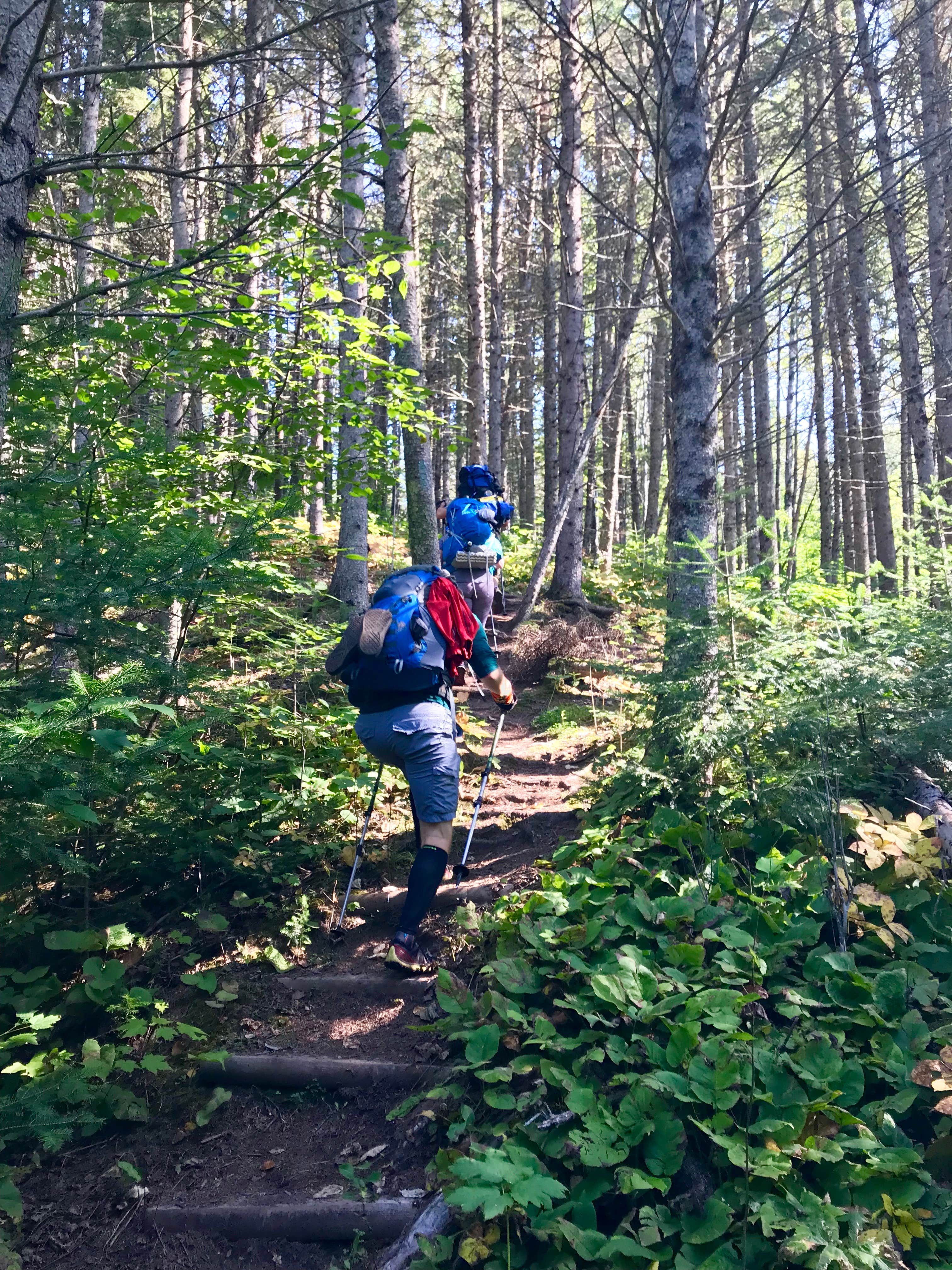 Camper submitted image from Cliff Creek, Superior Hiking Trail - 4