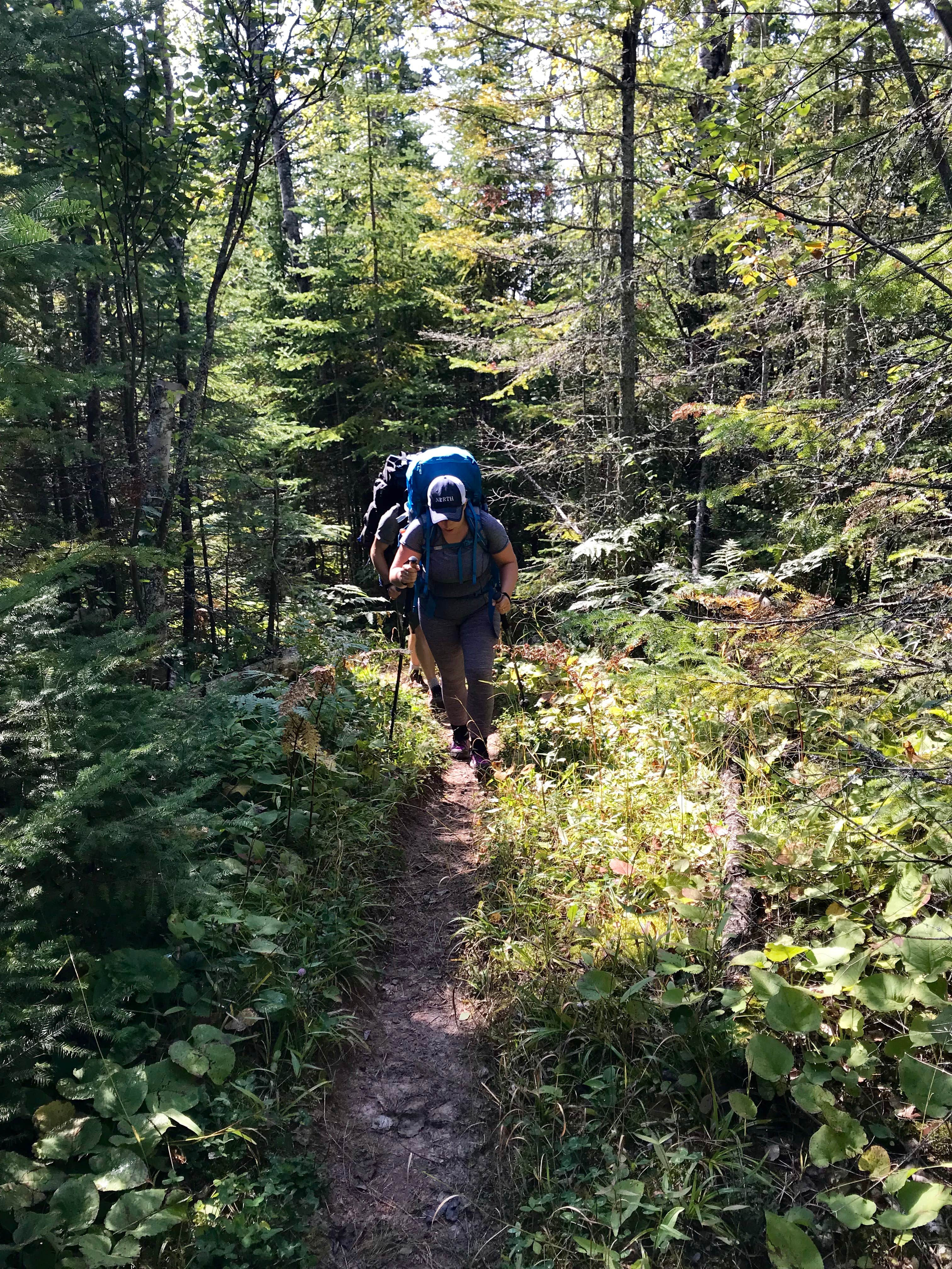 Camper submitted image from Cliff Creek, Superior Hiking Trail - 3