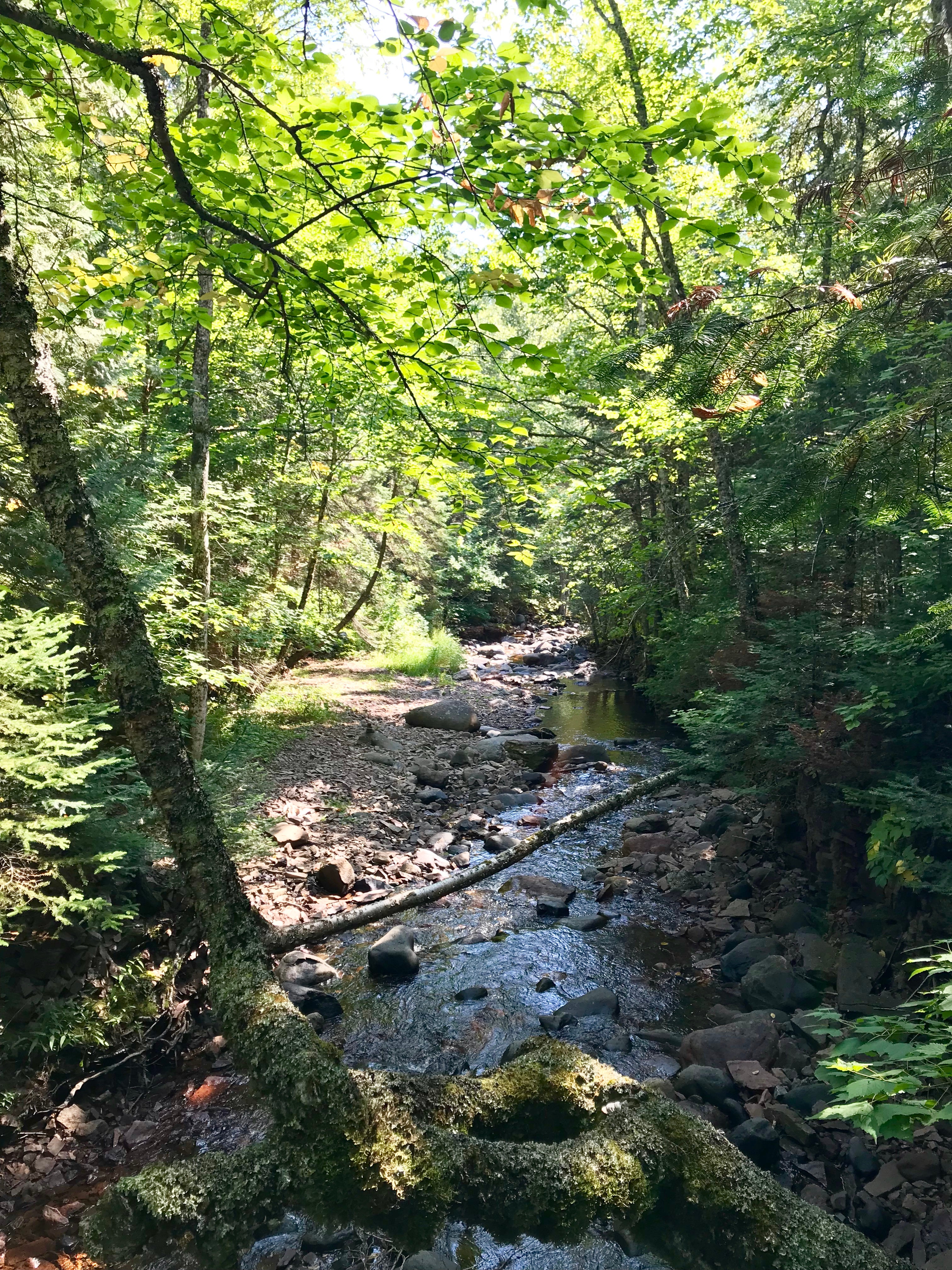 Camper submitted image from Kimball Creek, Superior Hiking Trail - 3