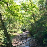 Review photo of Kimball Creek, Superior Hiking Trail by Steph H., September 23, 2018