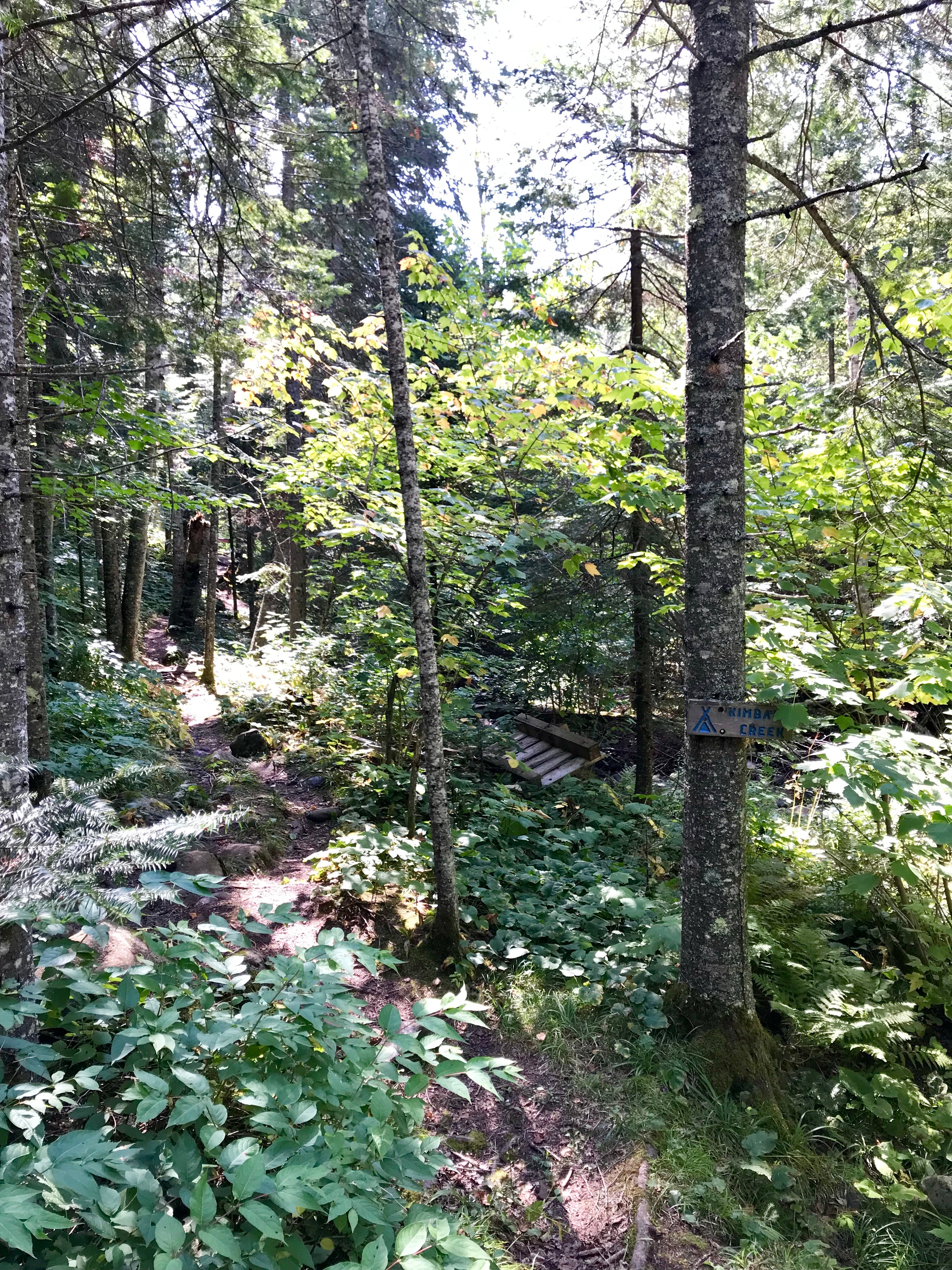 Camper submitted image from Kimball Creek, Superior Hiking Trail - 5