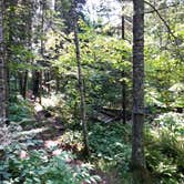 Review photo of Kimball Creek, Superior Hiking Trail by Steph H., September 23, 2018