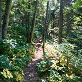 Review photo of Kimball Creek, Superior Hiking Trail by Steph H., September 23, 2018