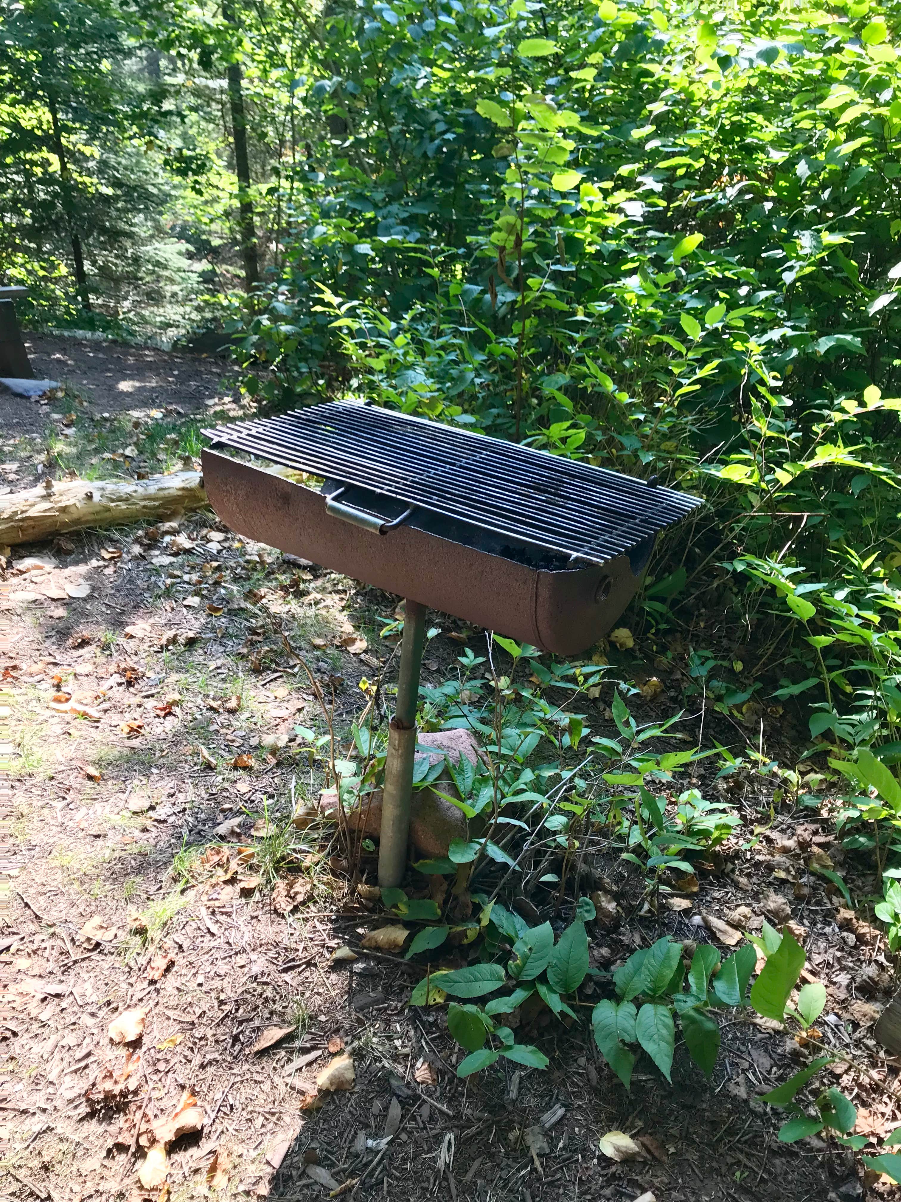 Camper-submitted photo at Kimball Creek, Superior Hiking Trail near Grand Marais, MN