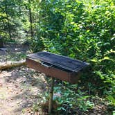 Review photo of Kimball Creek, Superior Hiking Trail by Steph H., September 23, 2018