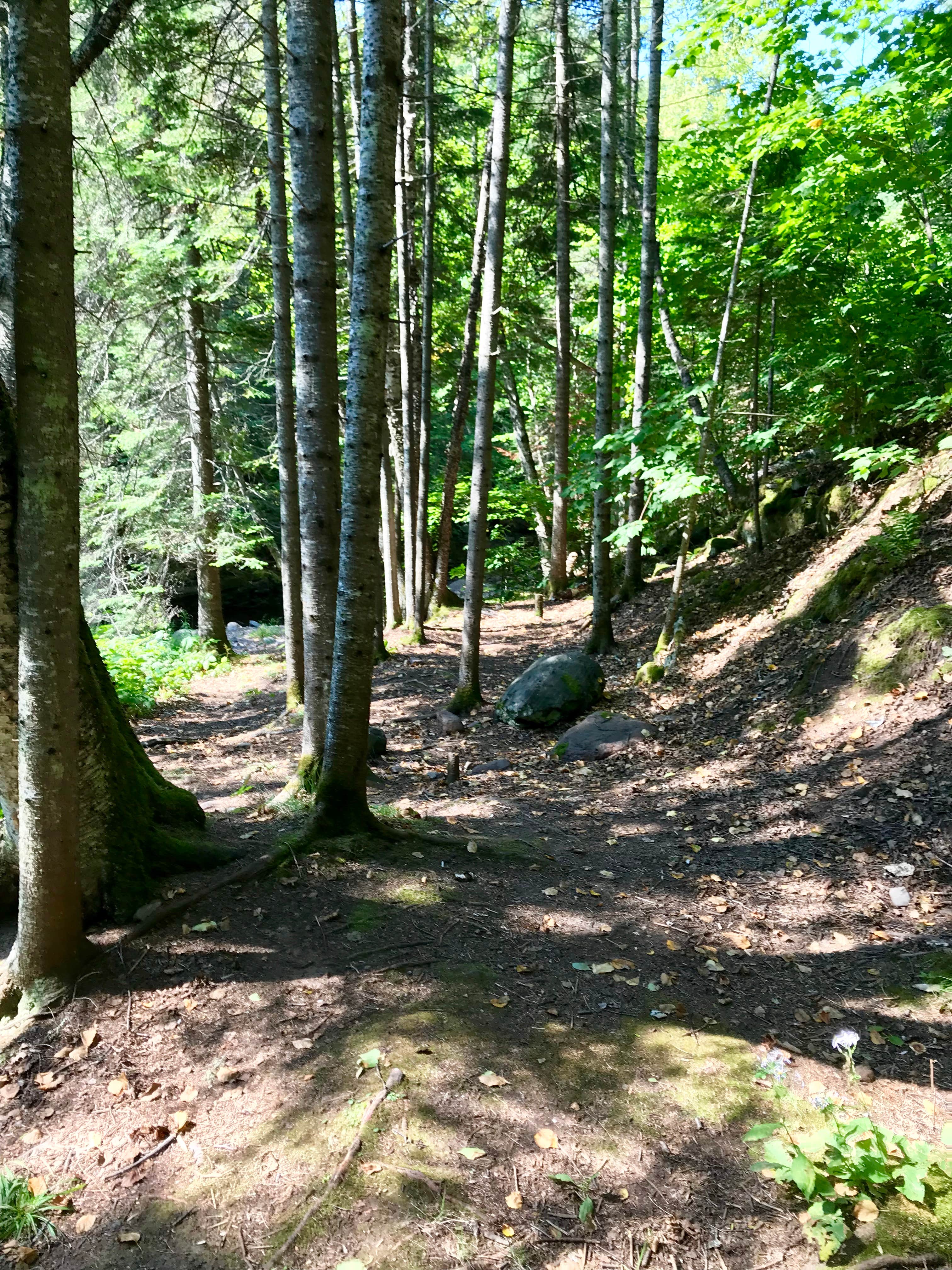 Camper-submitted photo at Kimball Creek, Superior Hiking Trail near Grand Marais, MN