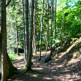 Review photo of Kimball Creek, Superior Hiking Trail by Steph H., September 23, 2018