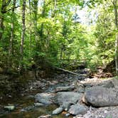 Review photo of Kimball Creek, Superior Hiking Trail by Steph H., September 23, 2018