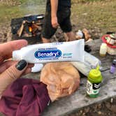 Review photo of Adeline Jay-Geo Karis Illinois Beach State Park by Hatie P., September 23, 2018
